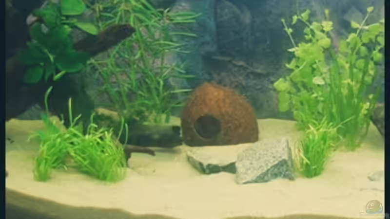 25.09.2008 von Michaela (18)