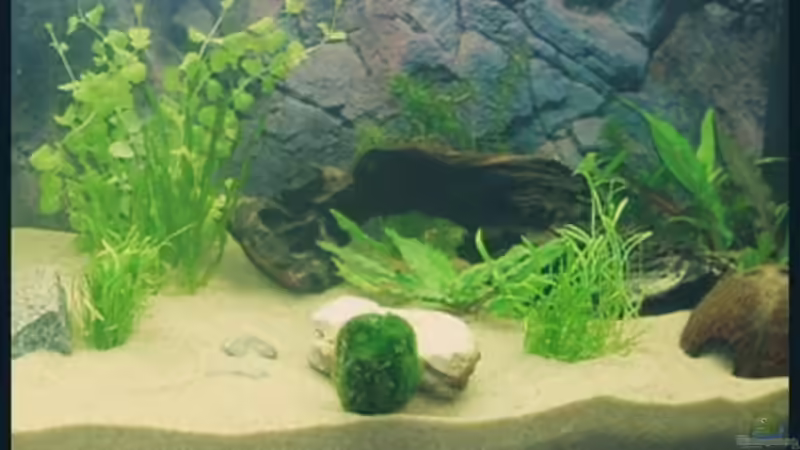 25.09.2008 von Michaela (19)