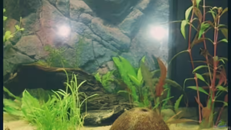 25.09.2008 von Michaela (20)