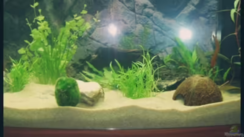 25.09.2008 von Michaela (4)