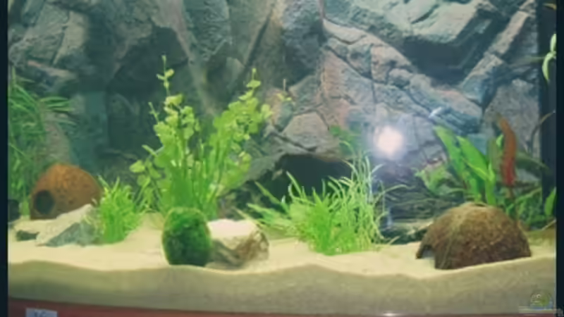 25.09.2008 von Michaela (5)