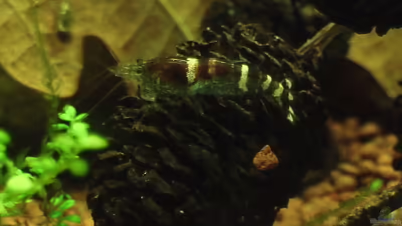 25.09.2010 von *Lucie* (53)