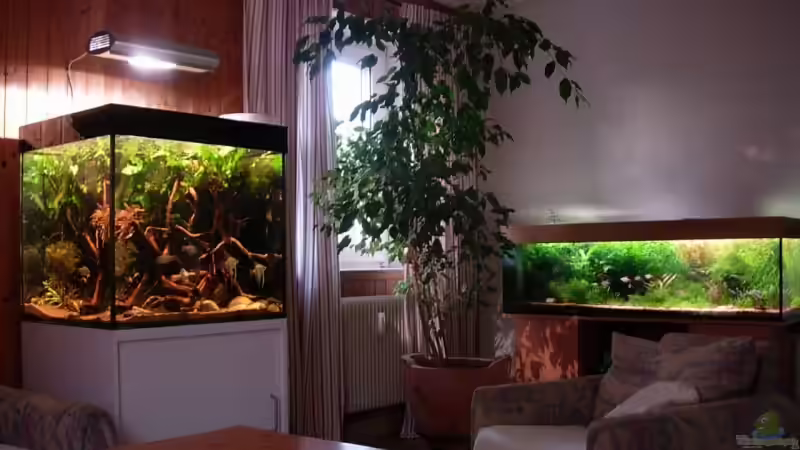 25.10.08 Skalare beziehen ihr neues Heim von Daniel_ (9)