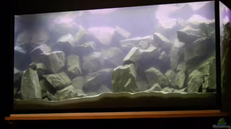 25.10.09 och etwas trüb von Mahlomolo (3)