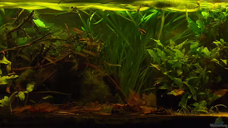 25-10-10 von Mario74 (3)