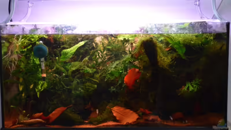 25.10.16 von Dominik (4)