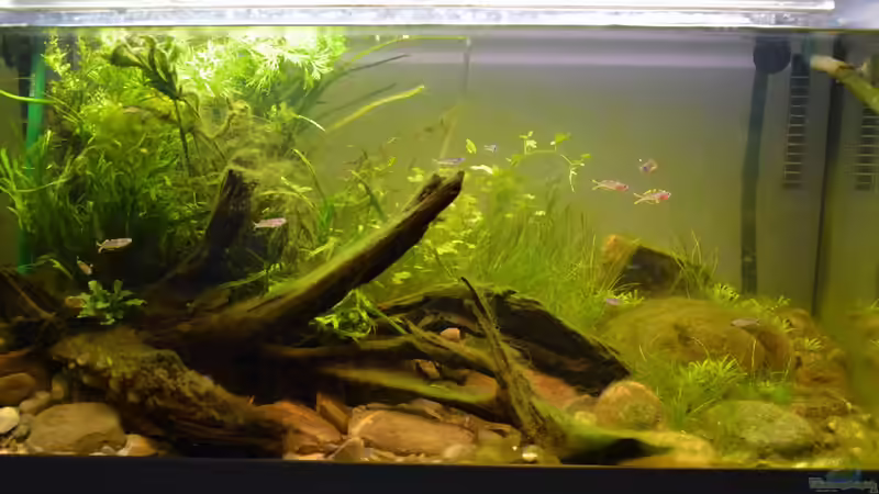 25.10.2016 von Dominik (7)