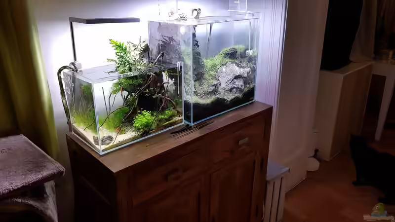 25.10.2020 von Julia S. (3)