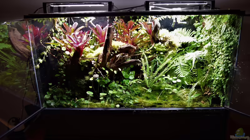 25.10.2020 von Junglist (1)