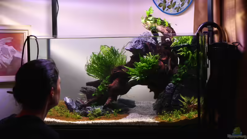 25.11.13  von Bjarke (5)