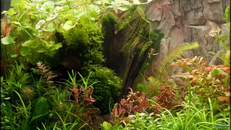 25.11.2010 von Ralf64 (16)