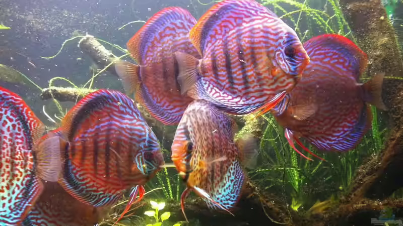 25.11.2011 von Dani B (42)