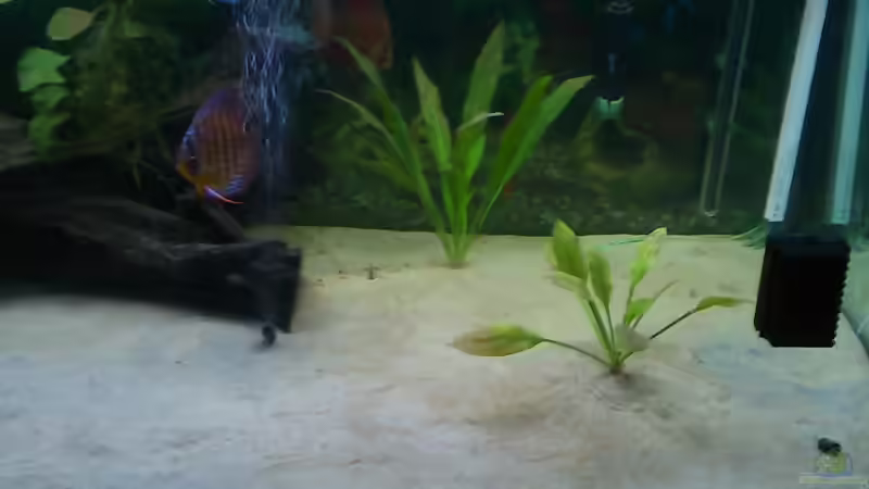 25.11.2013 von Cliff Lehmann (23)