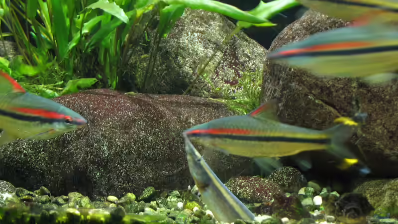 25.11.2016 von der Theoretiker (46)