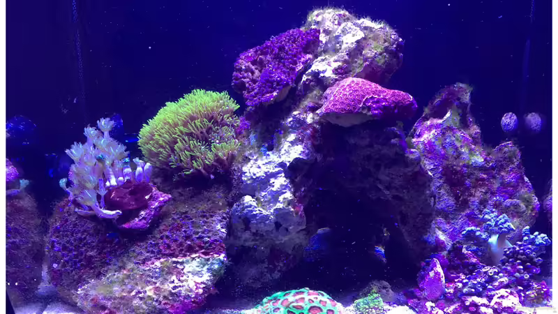 25-11-2017 von mmbm78! (11)