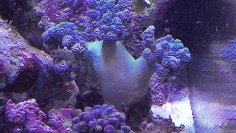 25-11-2017 von mmbm78! (12)