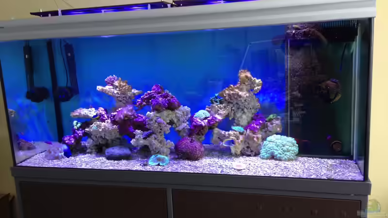 25.2.13 Beleuchtung 70% von Mosi (2)