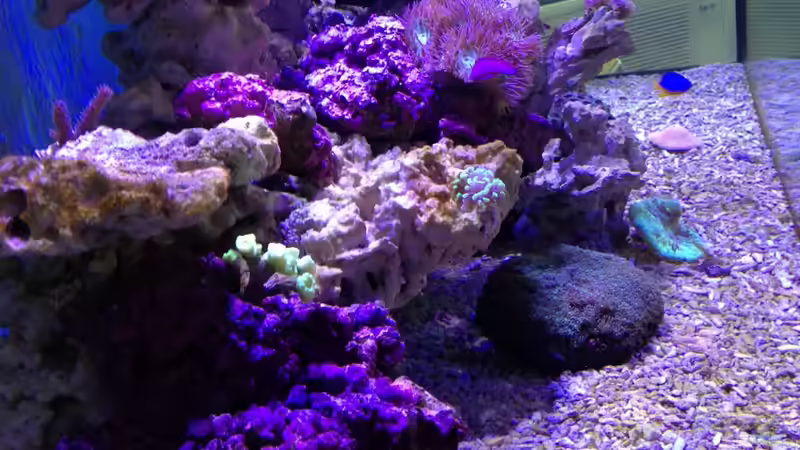 25.2.13 von Mosi (10)