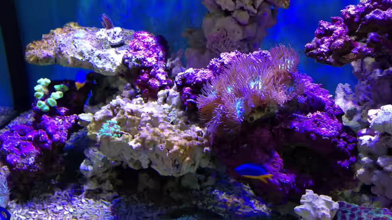 25.2.13 von Mosi (5)