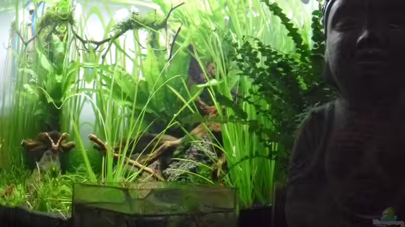 25.5.2010 von Mats (8)