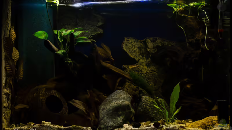 25% Beleuchtung von GoreSlayer (8)