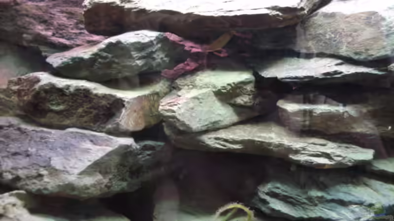 25 kg Naturbruchgestein von Lukas Szewczyk (7)