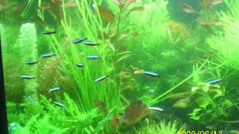 25 rote neons  von Herbert Baier (34)