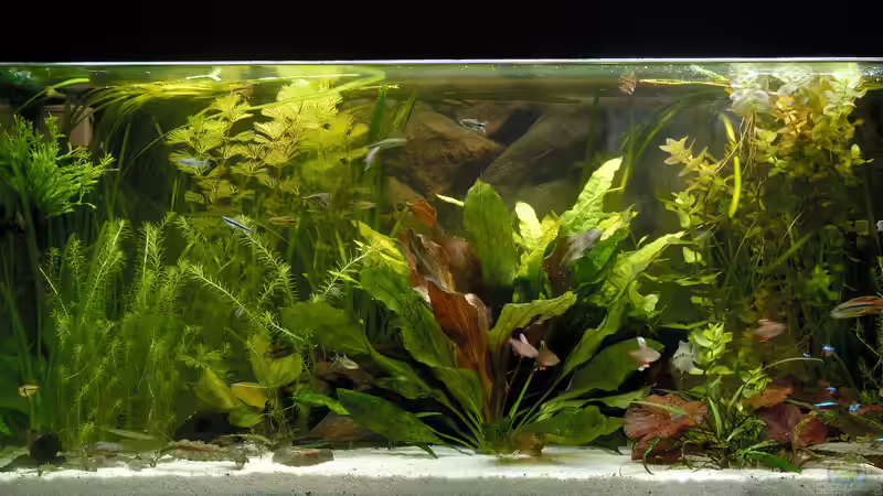 250 - Liter - Becken am 31.03.2006 von Ralf Schick (1)