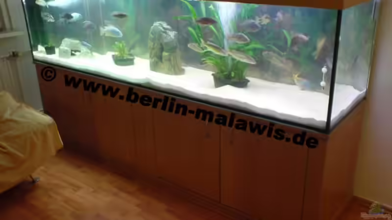 250 x 60 x 60 - 900 L Becken von *www.berlin-malawis.de* (1)