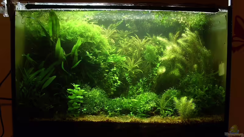 25er im Februar 2010