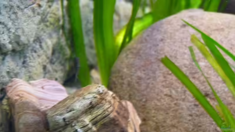 25kg Bruchsteine rot    von H.K-Mika (17)