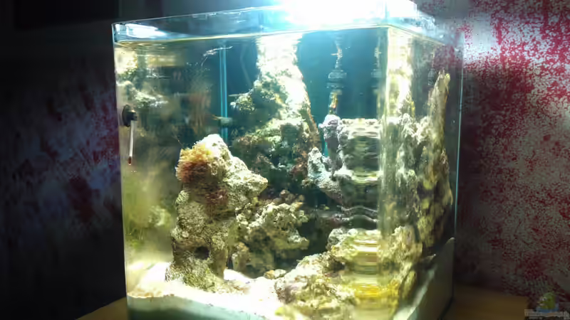 26. 09. 12 von madapusa (1)