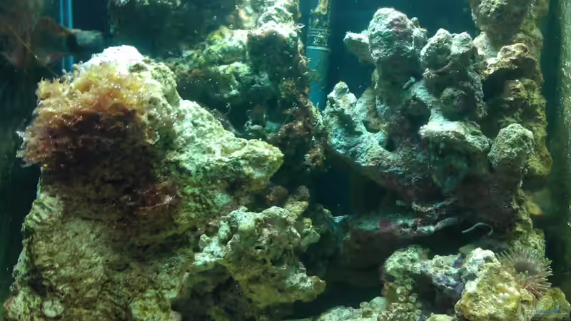 26. 09. 12 von madapusa (10)