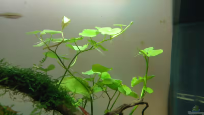 26. 09. 12 von madapusa (20)