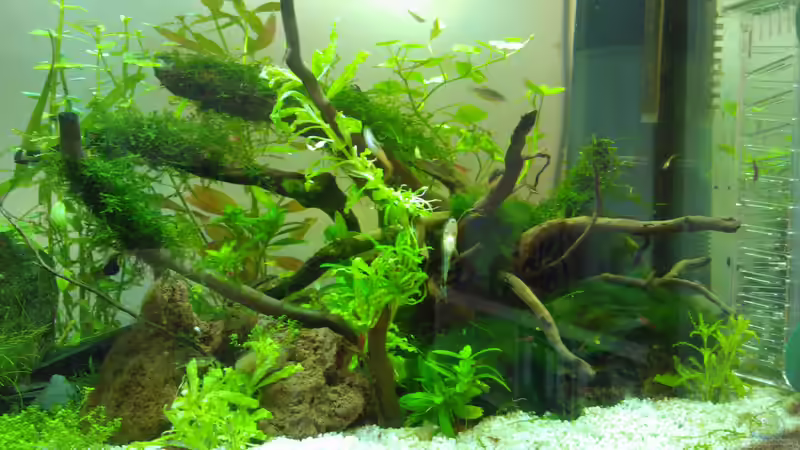 26. 9. 12 von madapusa (14)