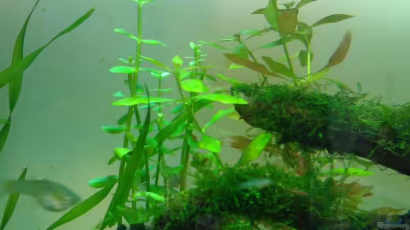 26. 9. 12 von madapusa (18)