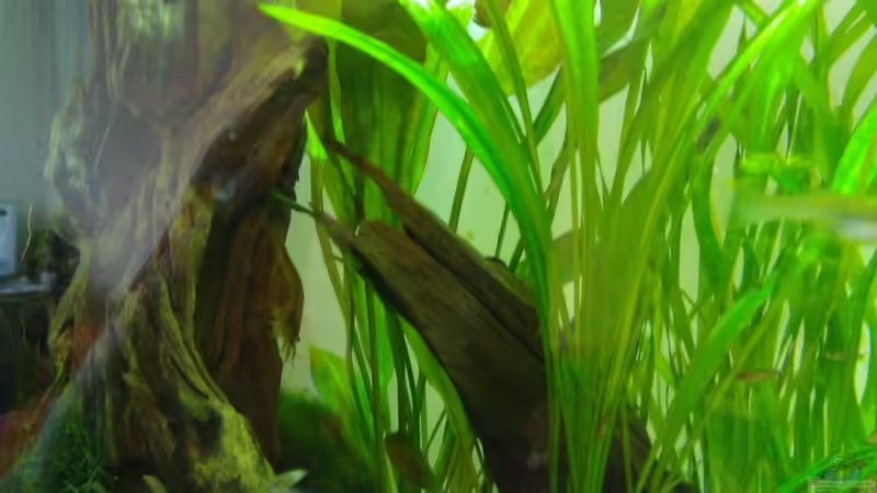 26. 9. 12 von madapusa (19)