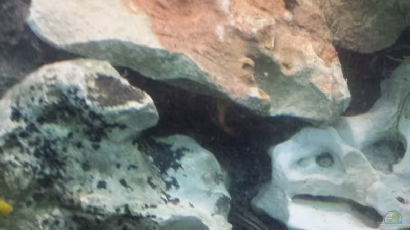 26.01.2014 Bruch gestein von benjamin (12)