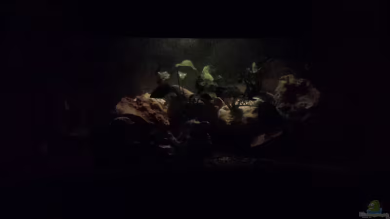 26.01.2014 Mond licht von benjamin (5)