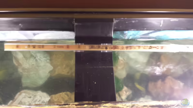 26.01.2014 Mondlicht von benjamin (20)