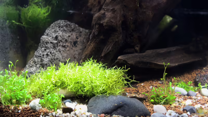 26.01.2015 Höhle links von SouthAmerica (18)