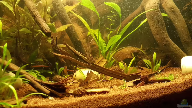 26.01.2019 von Kevin Engelsberger (10)