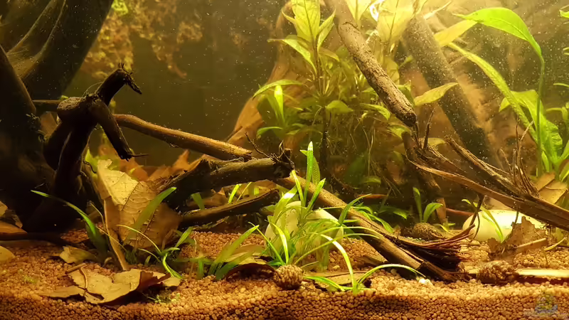 26.01.2019 von Kevin Engelsberger (11)