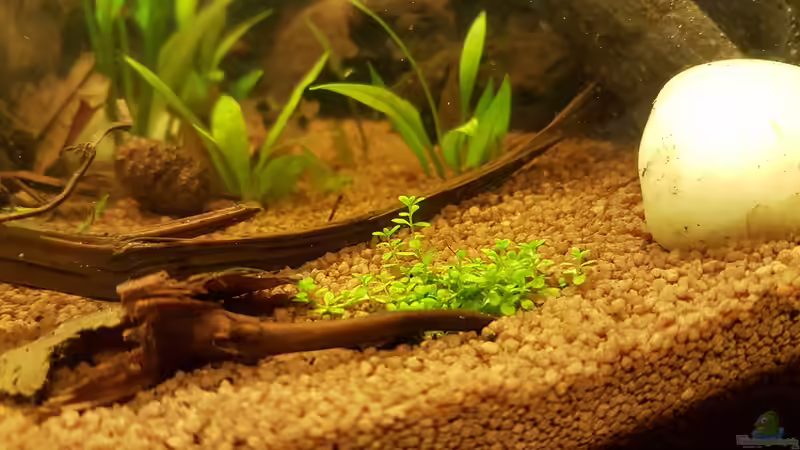 26.01.2019 von Kevin Engelsberger (12)