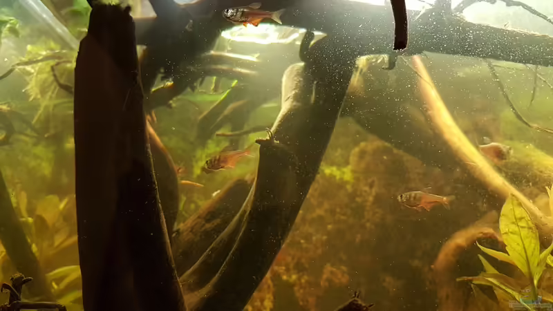 26.01.2019 von Kevin Engelsberger (13)