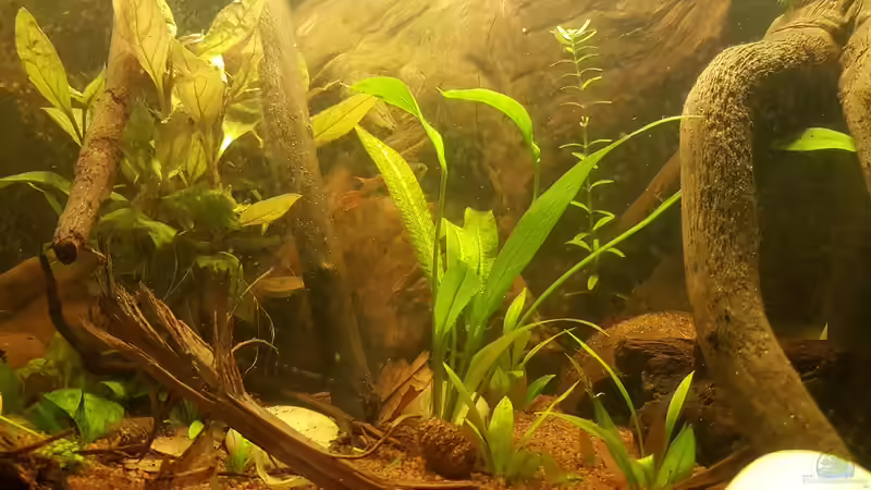 26.01.2019 von Kevin Engelsberger (14)