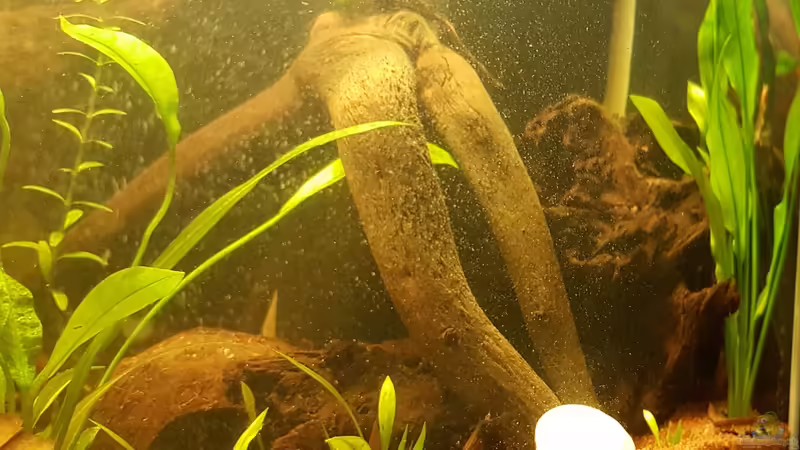 26.01.2019 von Kevin Engelsberger (15)