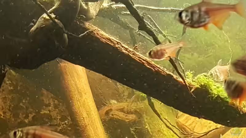 26.01.2019 von Kevin Engelsberger (16)