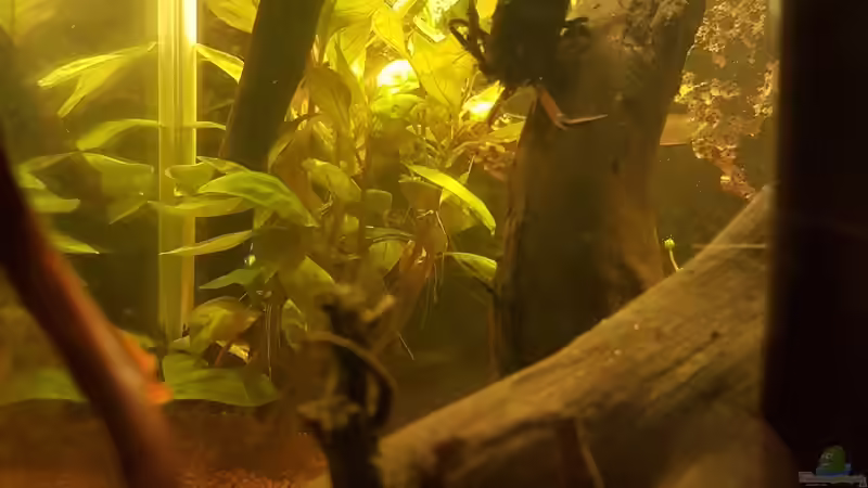 26.01.2019 von Kevin Engelsberger (18)