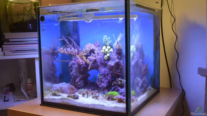 26.01.2020 von Junglist (3)